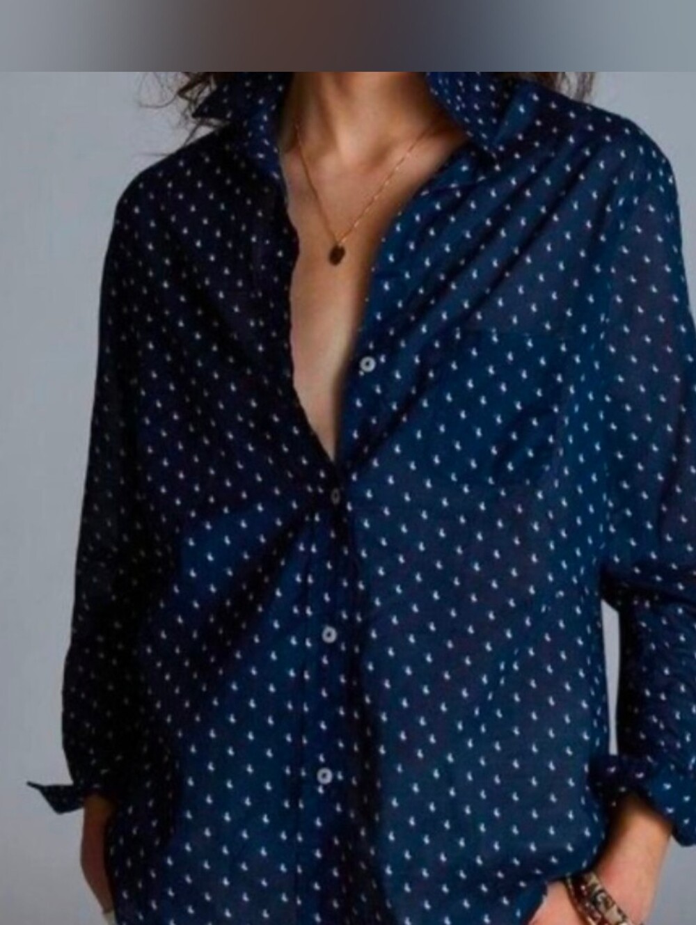 Grayson by Frank & Eileen for Anthropologie, the Hero button down shirt  DUCKS